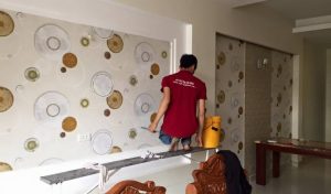 Thợ thi công giấy dán tường trọn gói giá rẻ, chuyên nghiệp
