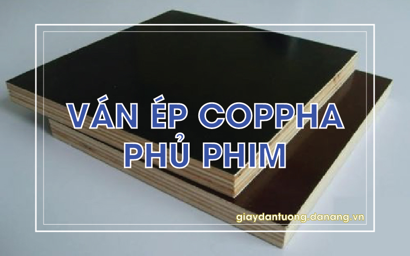 van-ep-phu-phim-hoi-an (4)